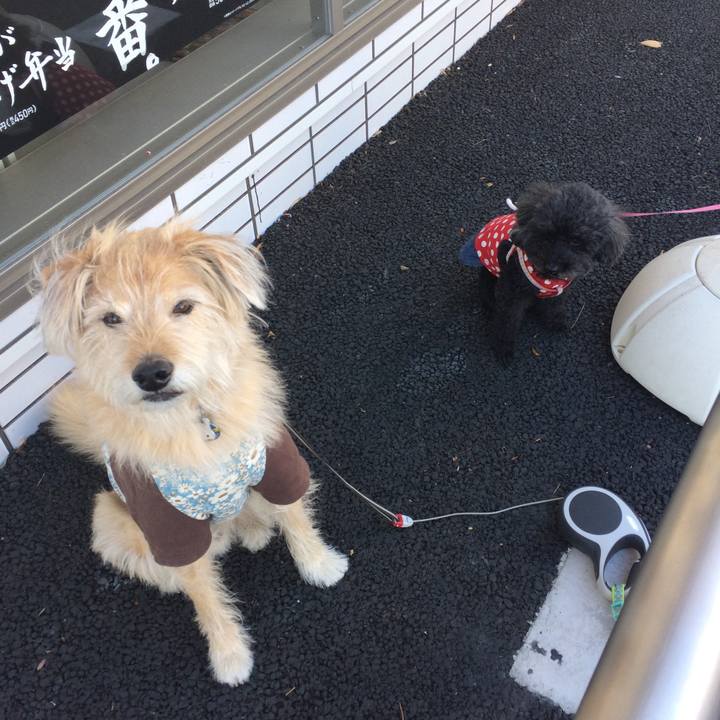 09feee75 cf11 4ba3 adfd 7af424d45af1