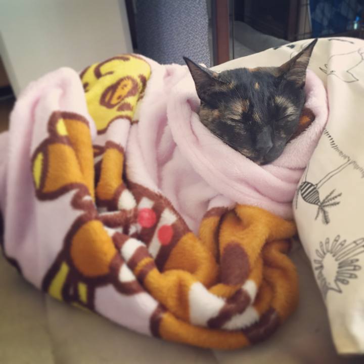 09ff656a e691 4da9 b2bd b89eed61920f