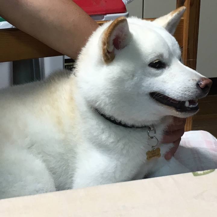 0a000472 d2ee 42bf 92e4 74eef118f6a4