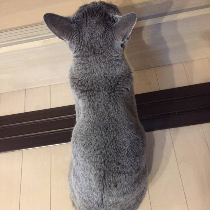 0a0127dd cdc8 4fa7 9b74 bc759652d4c1