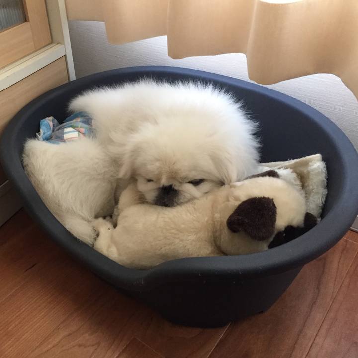 0a01d43a 874a 4dce b6b8 2a7cf573a105