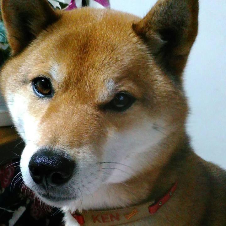 0a01e31b c0b3 4af5 8470 78457b9fa7ac