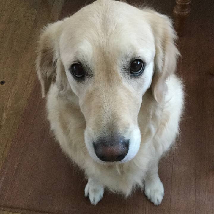 0a031830 5e92 4bfb 9edf b0d5c0302de5