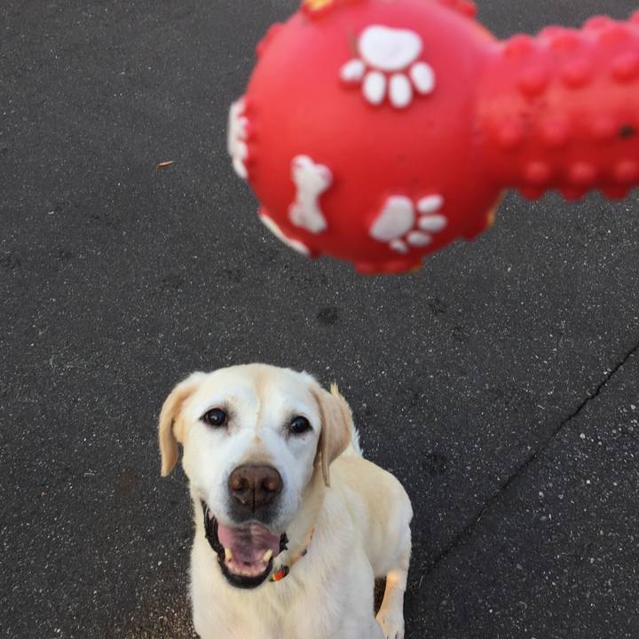 0a03763d 94ef 4f27 9736 04161196d134