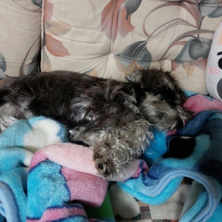 0a037f06 de11 4c14 9964 e6634ce907d9