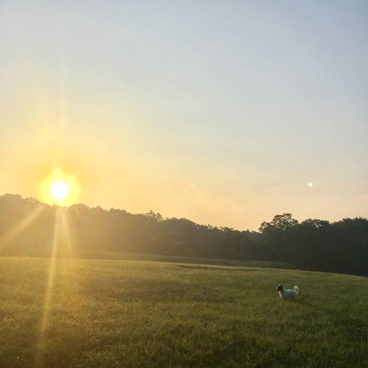 0a039c57 c52a 4aa2 aca2 ad865522ea86