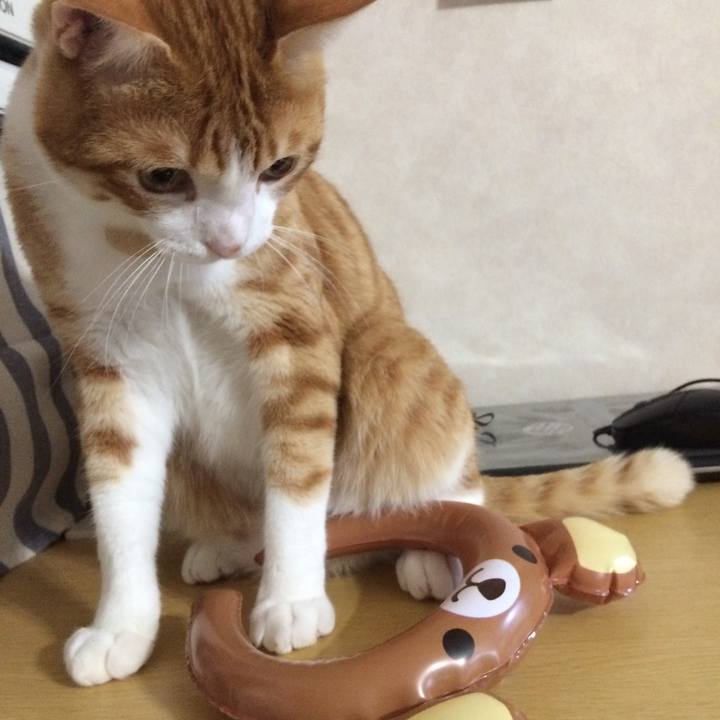 0a0420a5 b035 4c81 8191 a255159a9dff