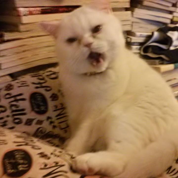 0a055123 5a07 4844 815d e12b85d361e8