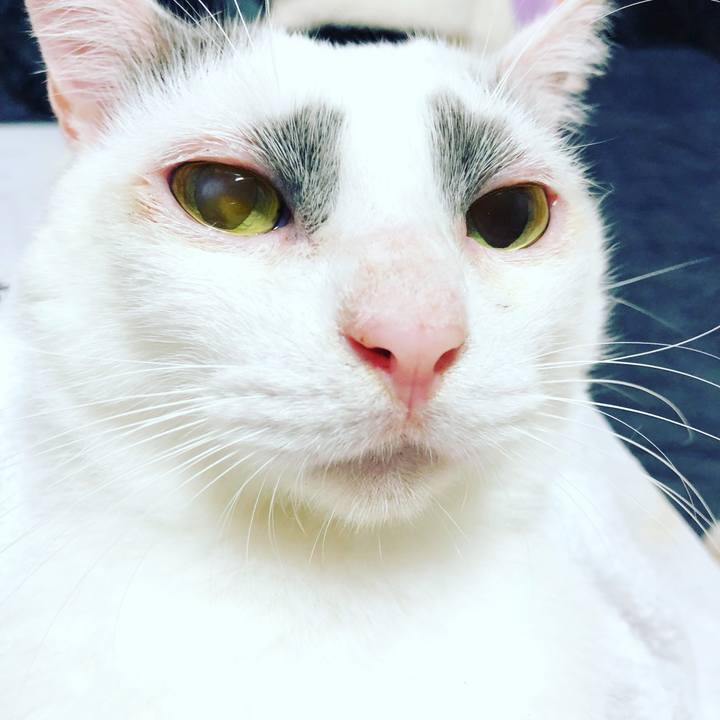 0a05ae41 8873 451a 889e 8b866692f493