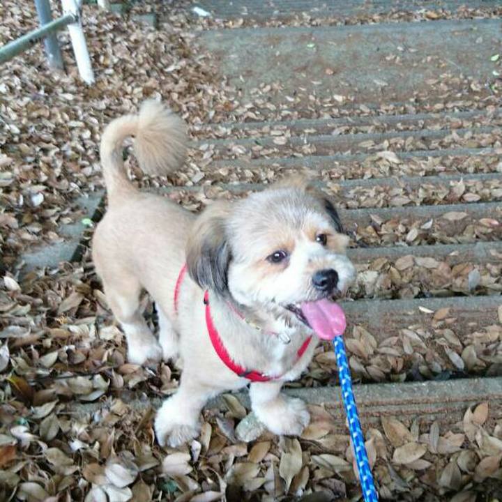 0a062a85 9429 4279 8696 0317ff338dcc