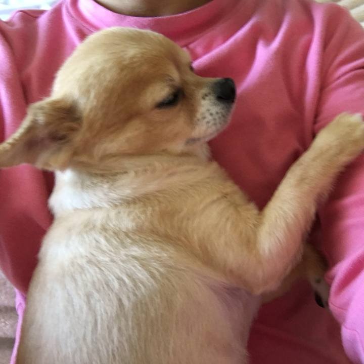 0a06fd92 8f09 4e14 a794 d0fbc837b749