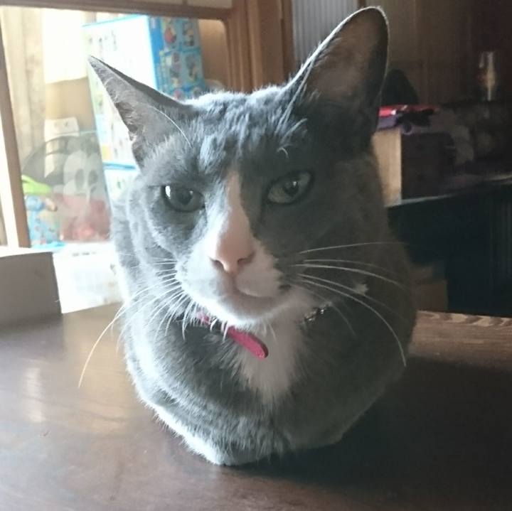 0a072ee8 e3ed 467a 982b 57249f18e90a