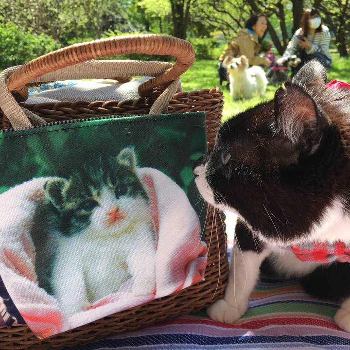 0a07b69d ea05 4351 b3d6 80b37941f555