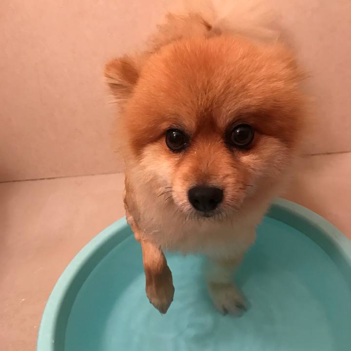 0a082ed3 b814 4a78 9ae2 6a16b2adfc5e