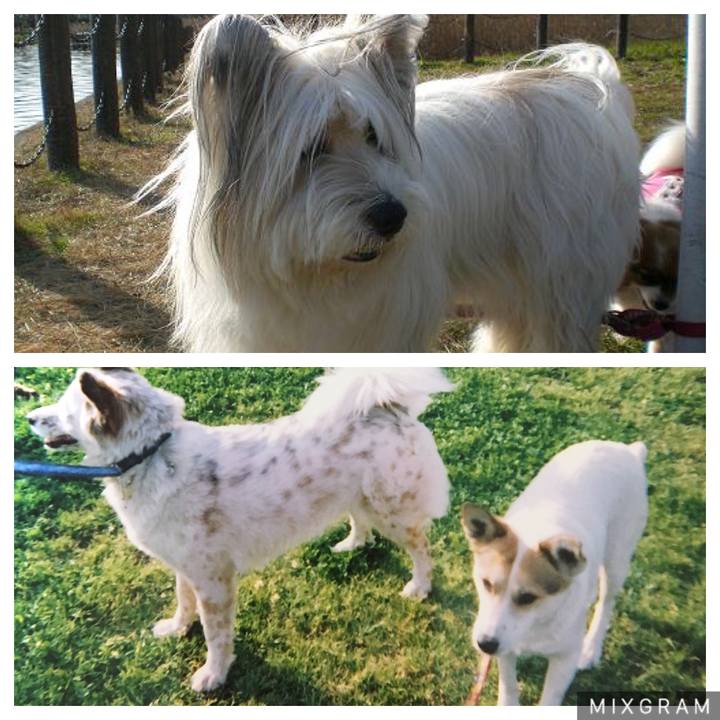 0a085385 4bc8 415a 9dbd 06b34f9a5faf