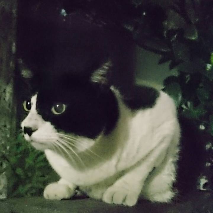 0a095149 69fd 4816 99f0 a79878c96ffa