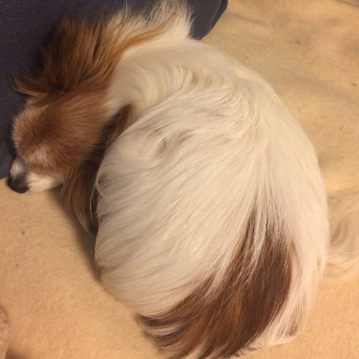 0a09af9c 16bc 4698 844e d0ab16faa21f