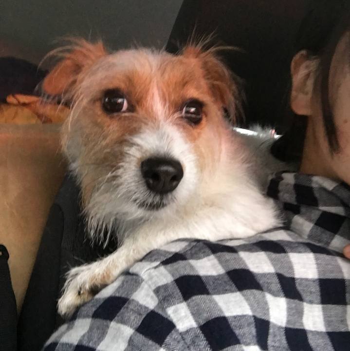 0a0a0f39 ca70 459d a2a4 3e77c561b83a