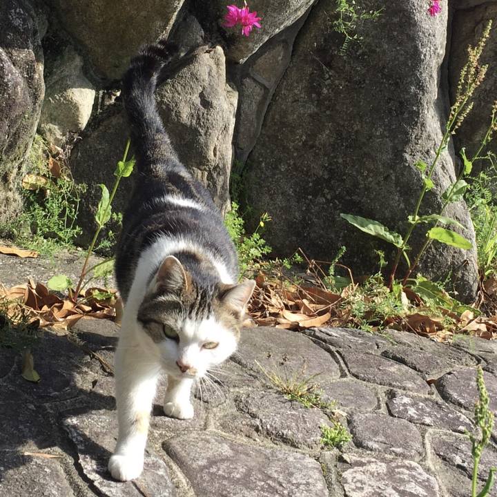 0a0a1b84 8e55 4ee7 a46f 8e18bd32b03c