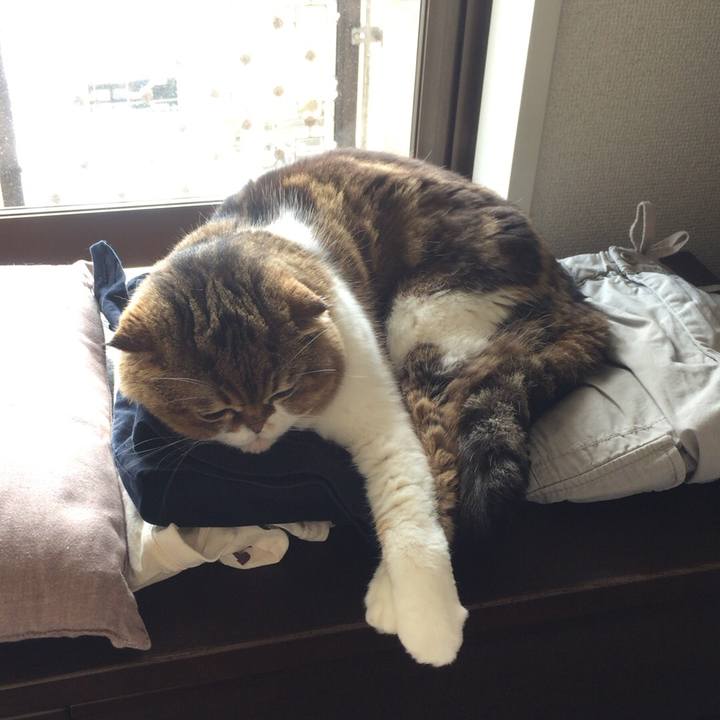 0a0a42f0 a600 48f4 84b3 bd8599a94468