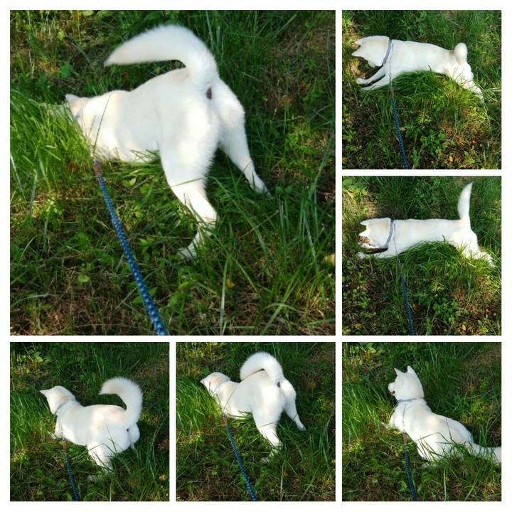 0a0a8a93 72cf 4d02 a9ae 2b0ccc94e70a