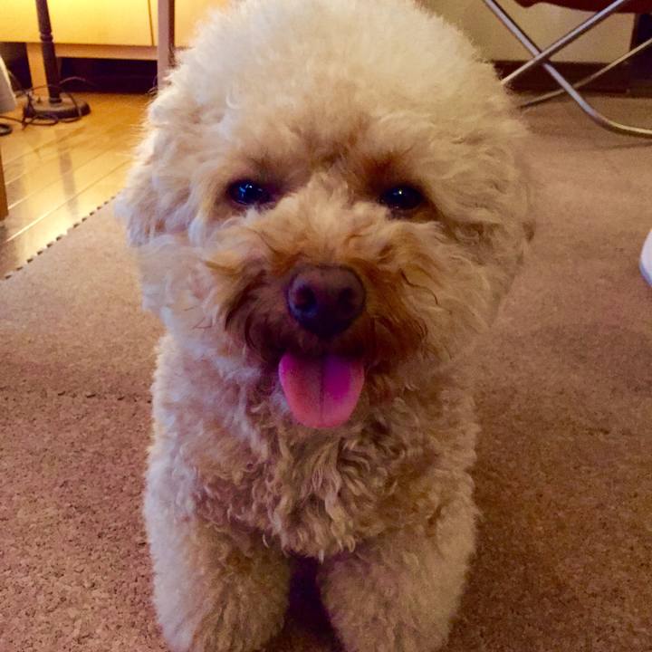 0a0ad30a 0fde 4d83 9435 5b75fd64df3a