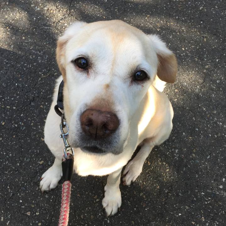 0a0b17b0 cab9 44b3 954d d0191831439b