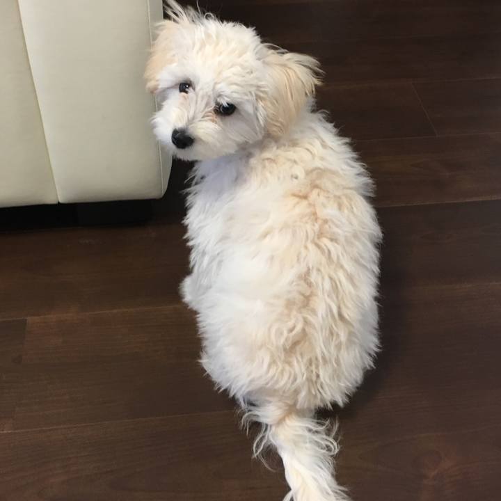 0a0b4dfc 178c 481d 8cb0 3e9467871bbd