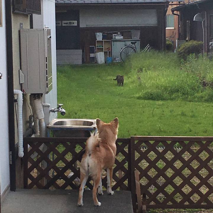 0a0b55c0 97a3 40ba 9268 37cb4dafdef8