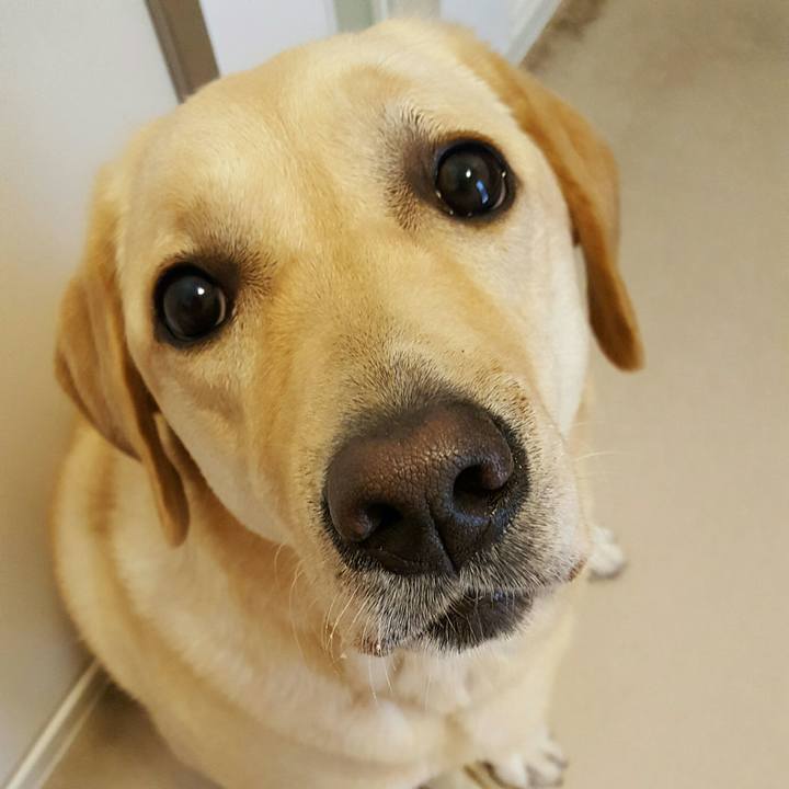 0a0b6837 8ab3 45e2 9b6c 7d27225d901d