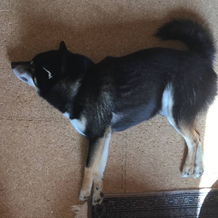 0a0b8b52 813a 40d0 8aaf dedb658fb2fb