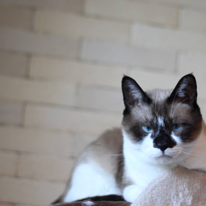 0a0bdebb 54e7 4281 841e 04867545ba5f