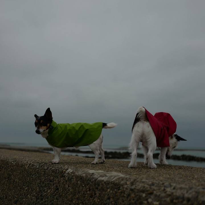 0a0c0ae2 4735 4d31 bdfb 28298accb9de