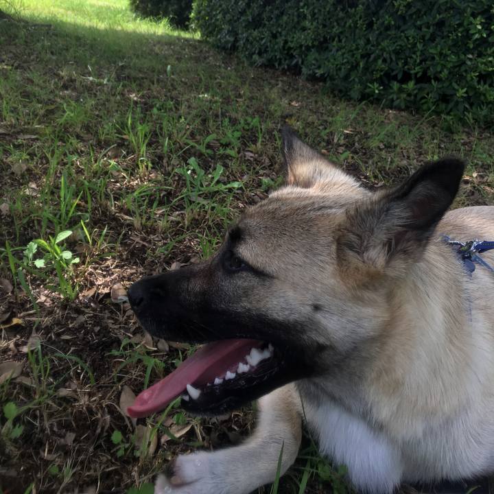 0a0d18e5 d7c7 4d40 b66a 32cf312d0efa