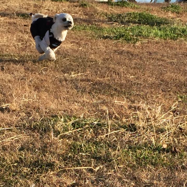 0a0f14f7 80c5 4ab9 a7a5 7f8f8c05cbfa