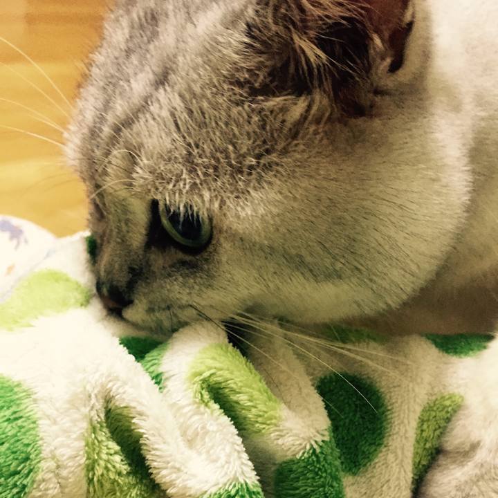 0a0f8adb 5c2a 48c2 8f5f 644332526ac3