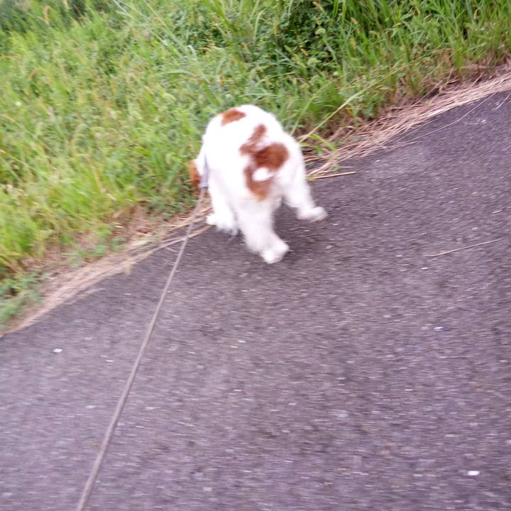 0a1062ef be01 4fec b425 78fa67e61cd3