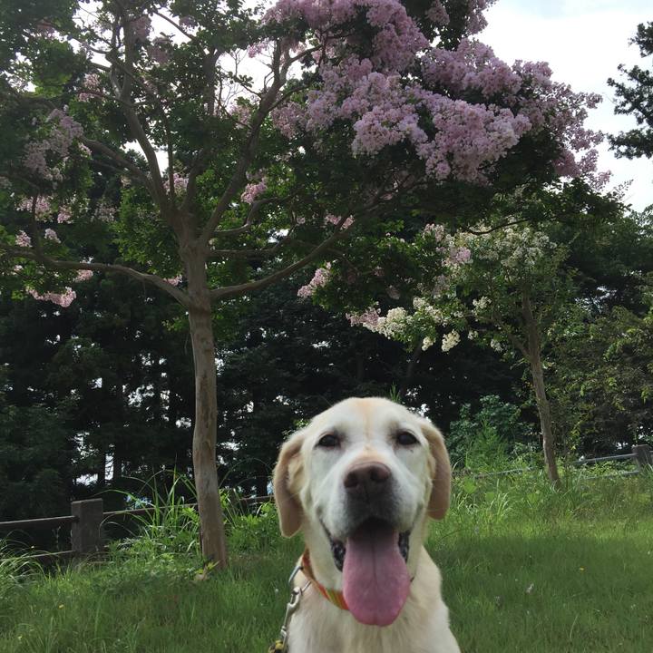 0a10d935 016c 4dc6 9df9 9b76fef89433