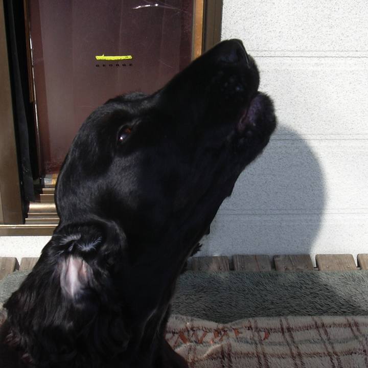 0a1118f7 543c 4050 85fd 402d8e6edad3