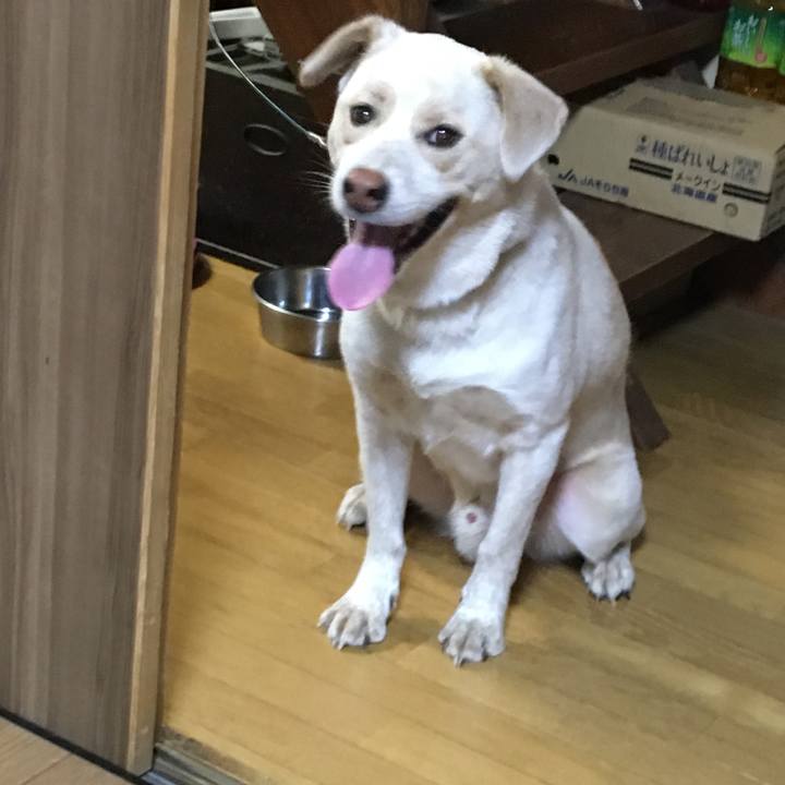 0a113d09 4c34 4ee5 b3d5 aae4a8aef27f