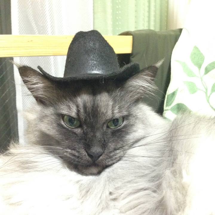 0a123da9 953d 4c47 bc9a a4619d954191