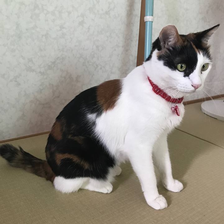 0a1248bd 18c7 481d 9d82 875d922eb04d