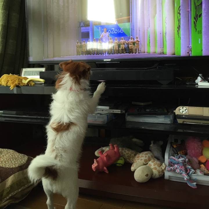 0a13509e 8503 4501 a3d9 29b4dd61a59a