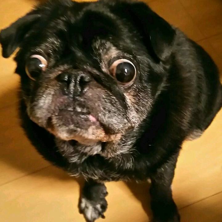 0a13582d 0085 4b94 aee8 cc101aa854c8