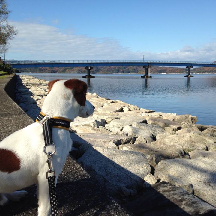 0a13a92e bda3 4c91 b606 81f7e3bc6cb6