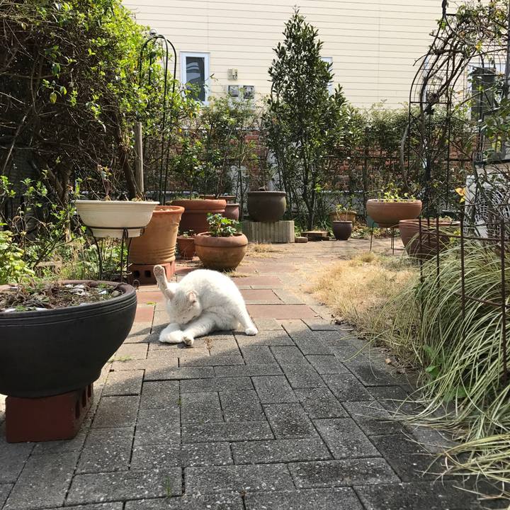 0a14700e 3381 4523 be13 2fe080f3d0bb