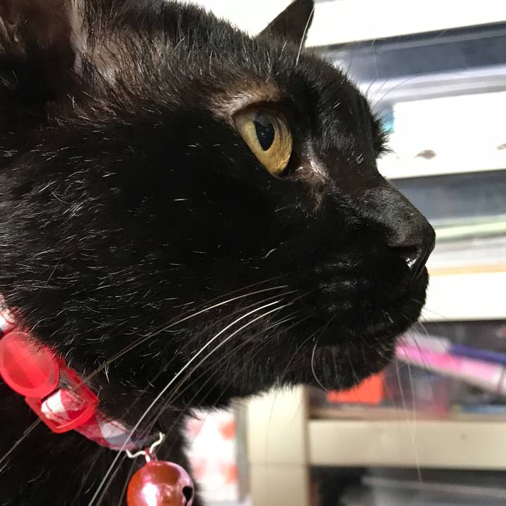 0a14d76f 9d40 498f 8fa5 97cc5ff9baf9