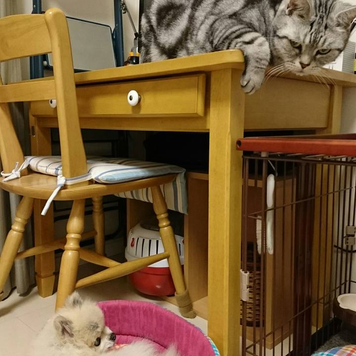 0a156924 7a04 4571 b10e 92ff365915b4