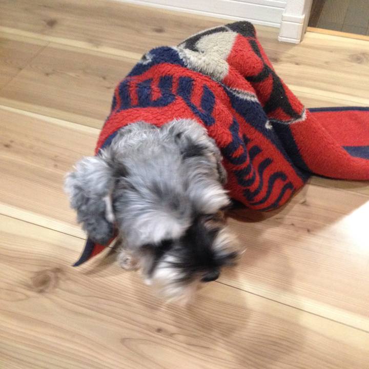 0a157239 e9cb 47a4 b493 4747eebd734b