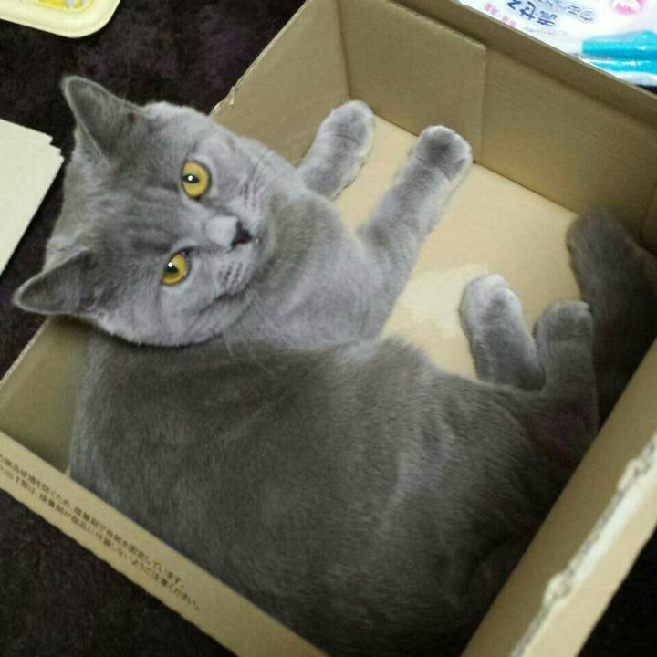 0a15bad9 163f 4795 b7e6 dddf4951fa3b